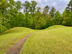 View of Bynum Mounds, Native American Mounds, near Chickasaw Agency on the Natchez Trace.