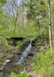 Waterfall cascading over a rocky cliff on the Natchez Trace.