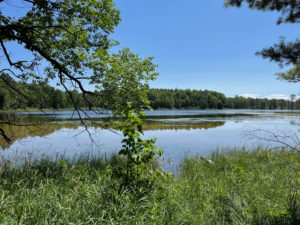 Blue lake on North Country Trail near Log Lake and Broomhead Road.