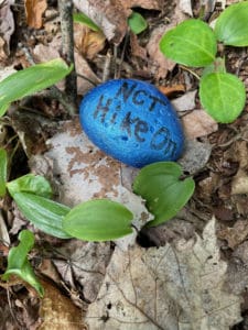 Painted blue rock with NCT Hike On painted on it.