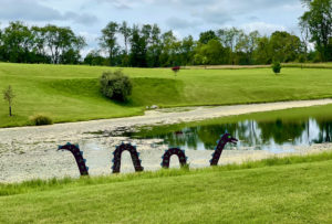Fake Loch Ness monster in pond near 20 Mile Road on the North Country Trail