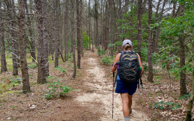 Hiking vs. Walking: What’s Better?