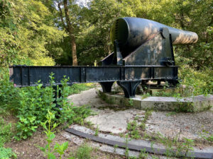Giant, black cannon in the woods.
