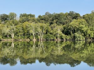 Trees reflected in river near Williamsport, Maryland.