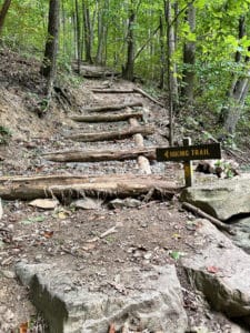 Steep hiking trail with wooden logs for stairs.