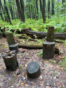 Logs cut into small chairs and a table in the woods near the Route 56 shelter in Pennsylvania.