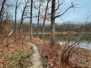 Trail through woods near a lake near Alvordton, Ohio.