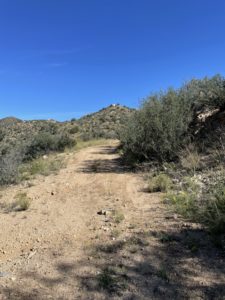 Trail in the desert.