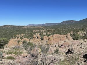 Rocky desert terrain.