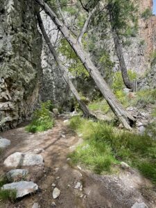 Trail through a canyon.